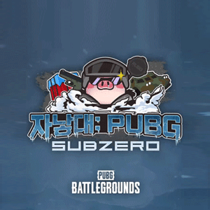 자낳대: PUBG SUBZERO